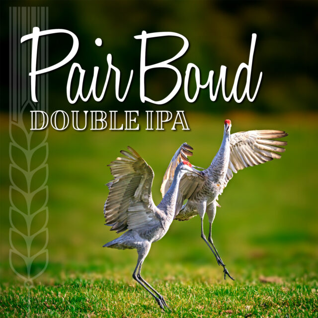 Pair Bond Double IPA